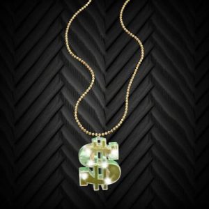 Flashing Dollar Necklace