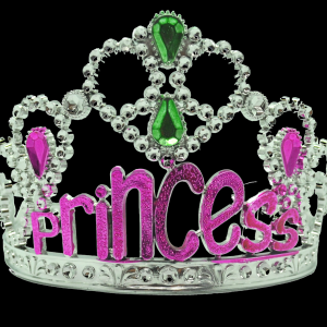 Non-Flashing Princess Silver Crown