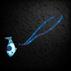 Flashing Boy Dolphin Charm With Non-Flashing Lanyard