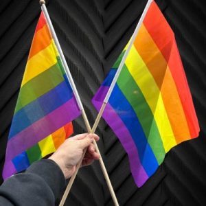 11" X 17" Rainbow Flag On Wooden Stick