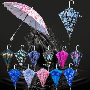 Double Umbrella Assorted Color