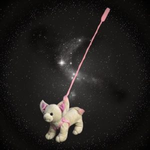 Plush Chihuahua On Pole Leash