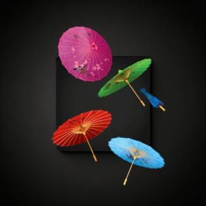 Chinese Craft Umbrella Lbs (Us007)