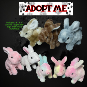 Assorted Color Walking Bunny On Leash
