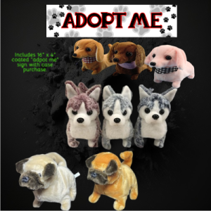 Premium Assortment Dog On Leash